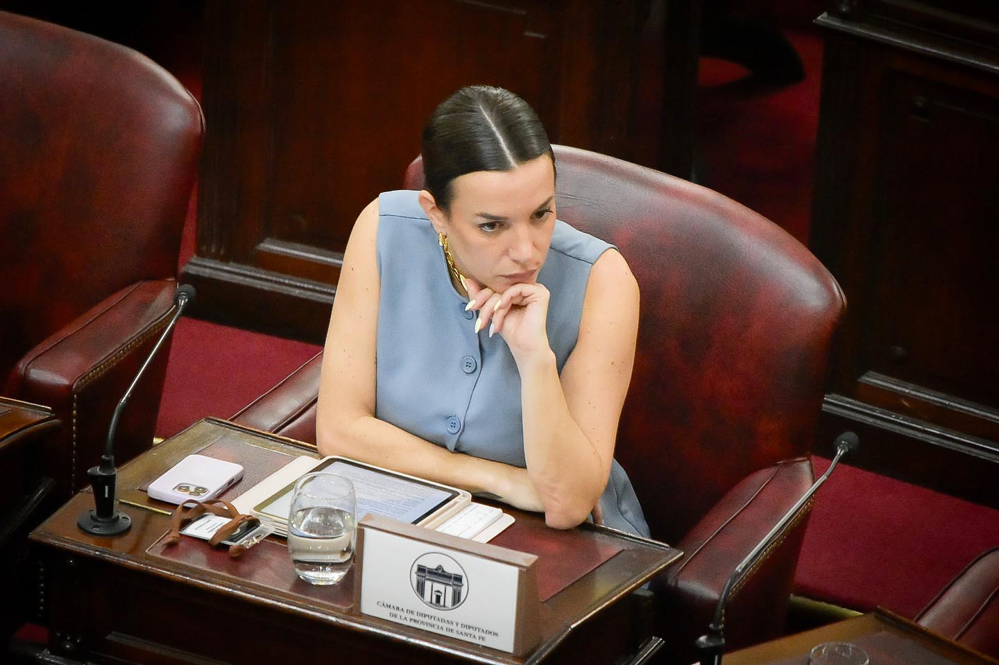 De Ponti impulsa leyes para promover la energía limpia en clubes y la integración social en barrios populares