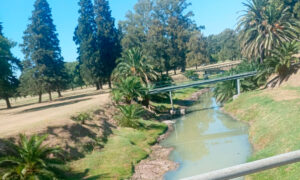 Arroyo Ludueña: Presentan una denuncia para investigar posibles descargas contaminantes