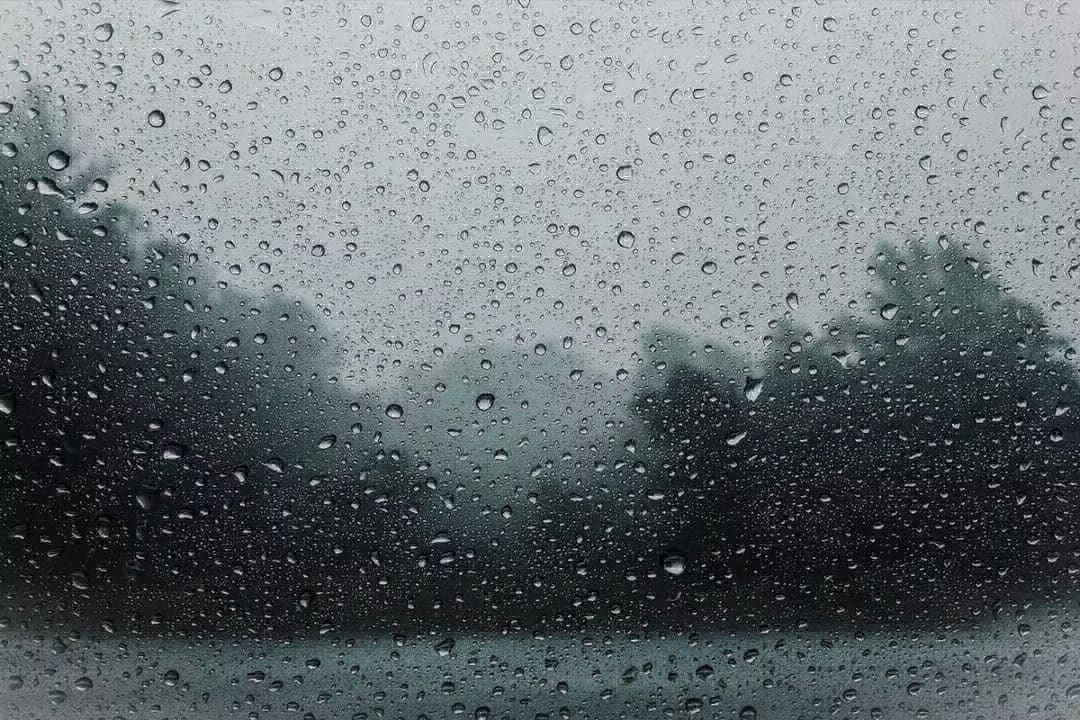 Clima en el sur de Santa Fe: Cómo estará el tiempo durante las próximas 72 horas