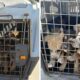El municipio rescató a 13 perros de una situación de abandono en zona norte
