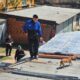 Rescataron tres perros sin agua ni comida durante la demolición de una vivienda usurpada