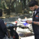Rosario aplica trabajos comunitarios por faltas graves de tránsito
